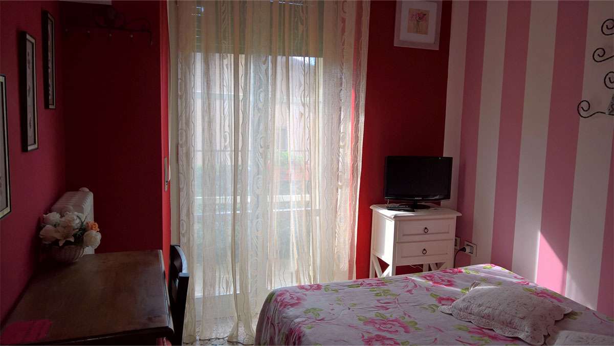camera_rosa1