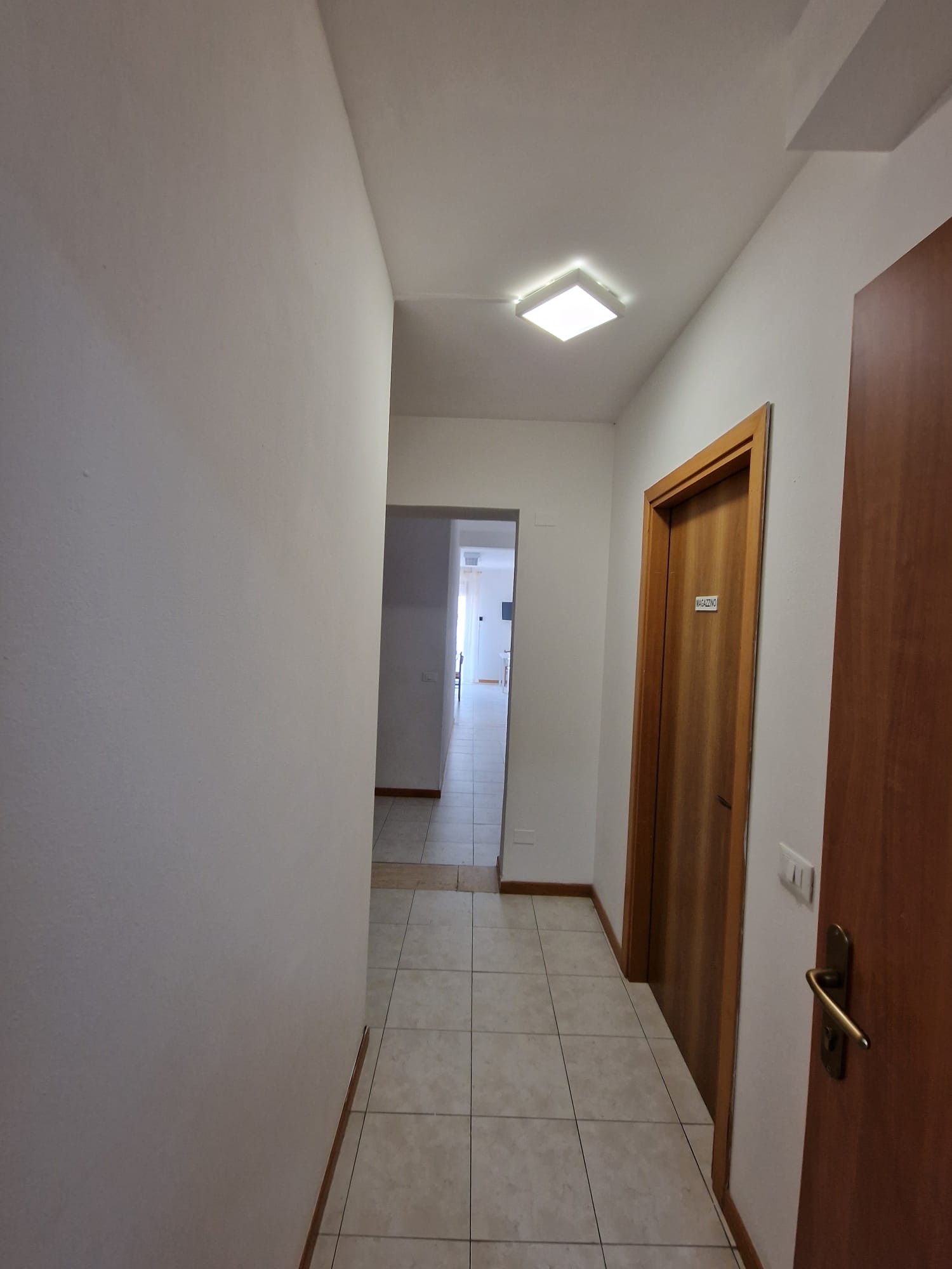 Immagine WhatsApp 2025-04-28 ore 19.43.46_58ca8483